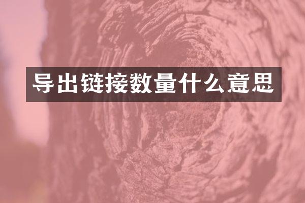 导出链接数量什么意思