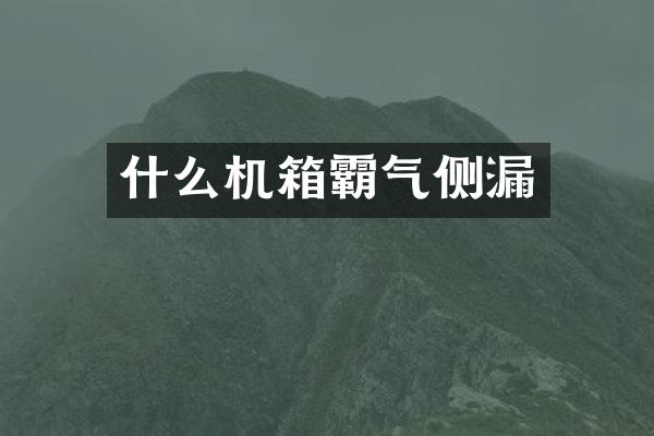 什么机箱霸气侧漏