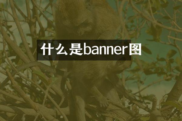 什么是banner图