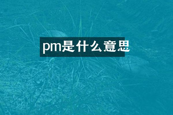 pm是什么意思