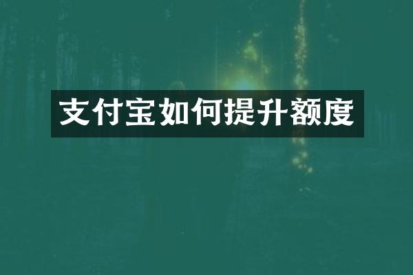 支付宝如何提升额度