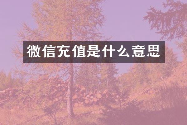 微信充值是什么意思