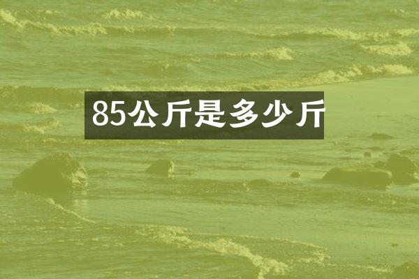 85公斤是多少斤