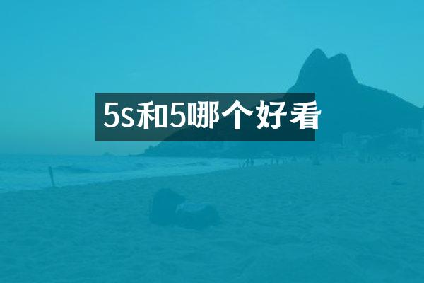 5s和5哪个好看