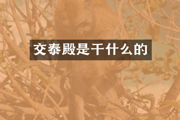 交泰殿是干什么的