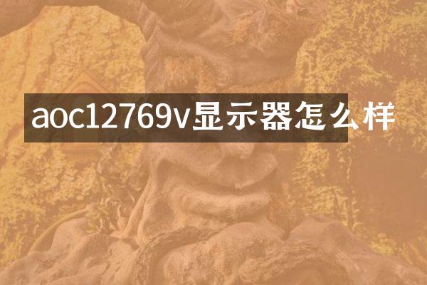 aoc12769v显示器怎么样