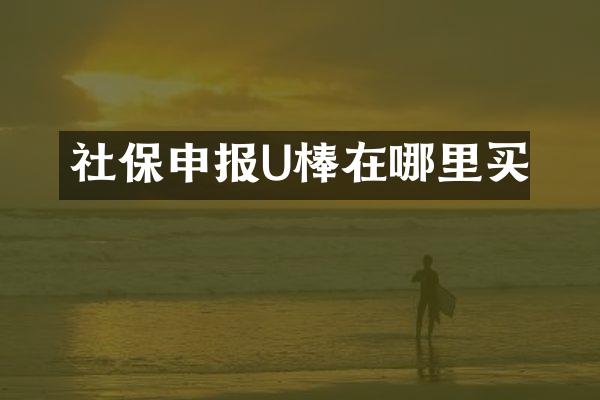 社保申报U棒在哪里买