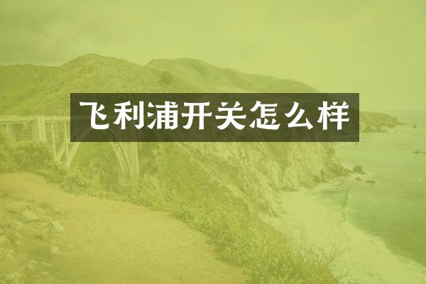 飞利浦开关怎么样