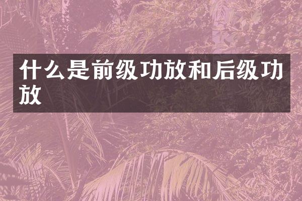 什么是前级功放和后级功放