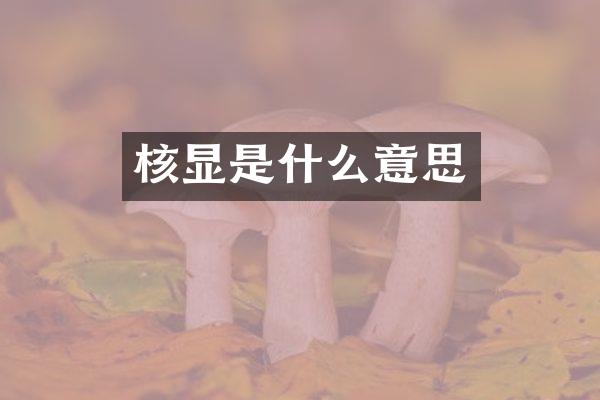 核显是什么意思