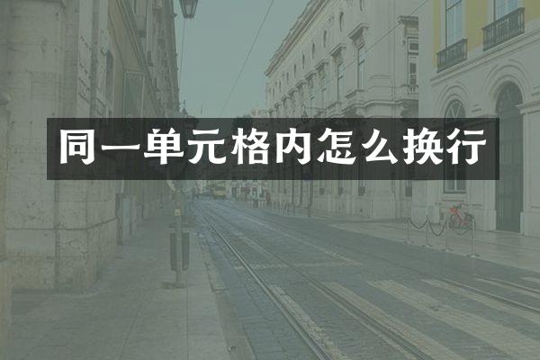 同一单元格内怎么换行