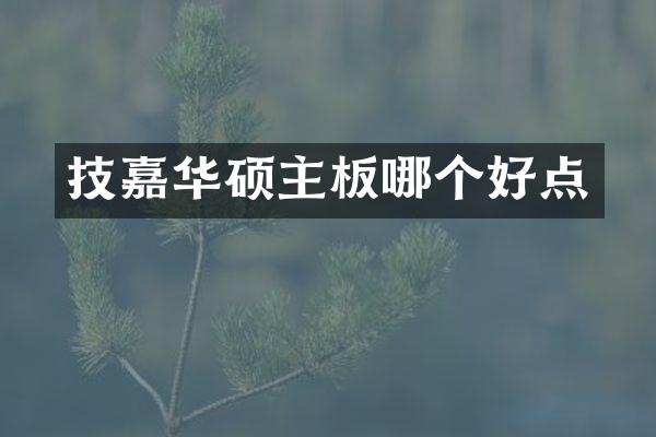 技嘉华硕主板哪个好点