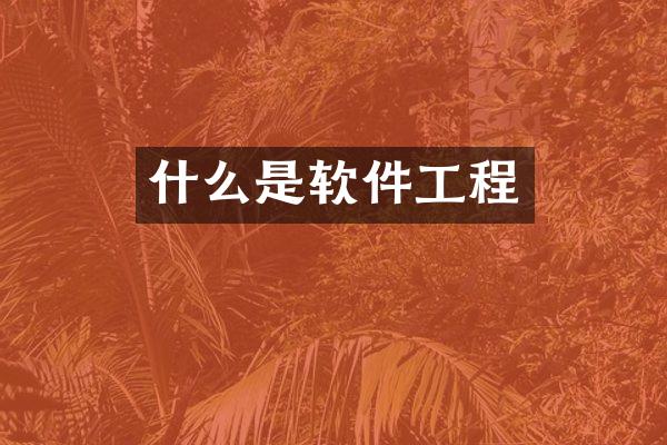 什么是软件工程