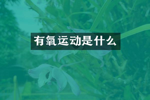 有氧运动是什么