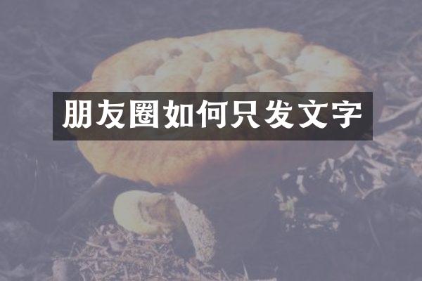 朋友圈如何只发文字