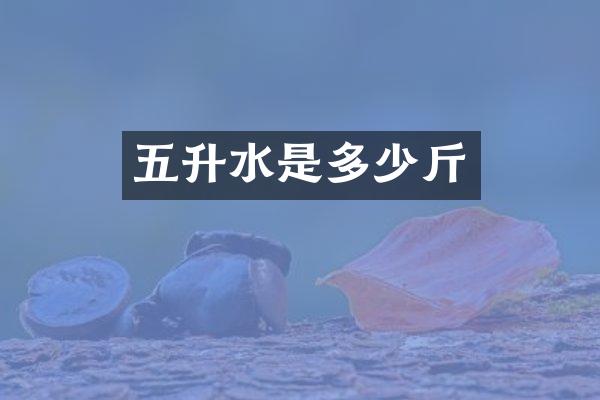五升水是多少斤