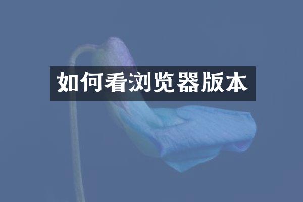 如何看浏览器版本