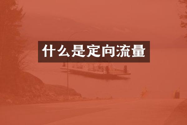 什么是定向流量