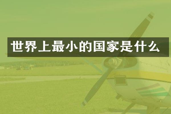 世界上最小的国家是什么
