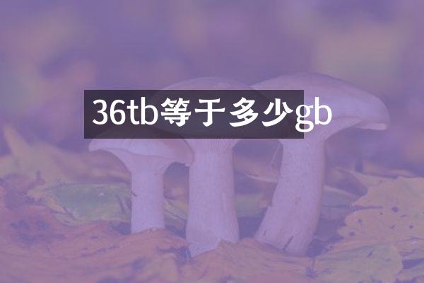 36tb等于多少gb