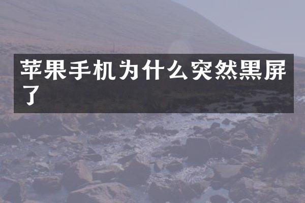 苹果手机为什么突然黑屏了