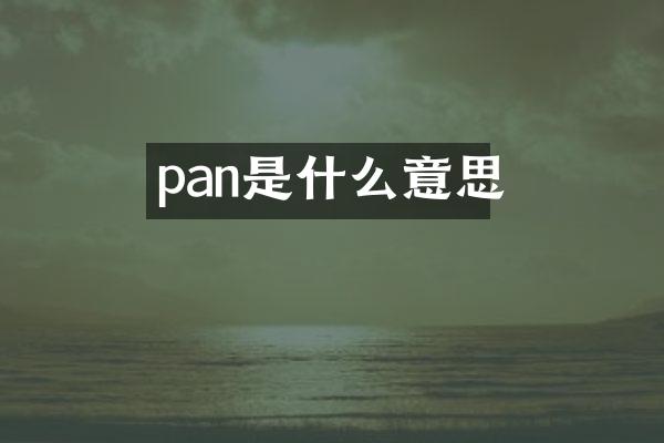 pan是什么意思