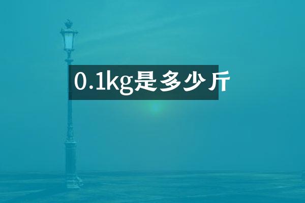 0.1kg是多少斤