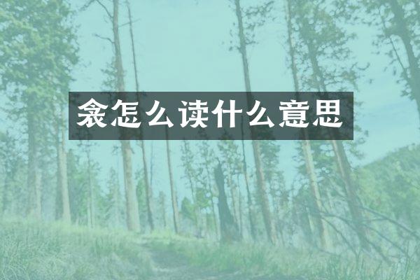 衾怎么读什么意思