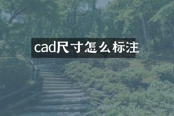 cad尺寸怎么标注