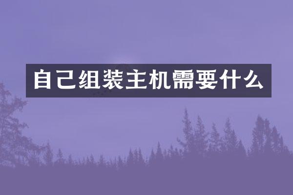 自己组装主机需要什么