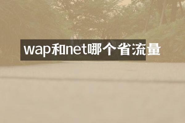 wap和net哪个省流量
