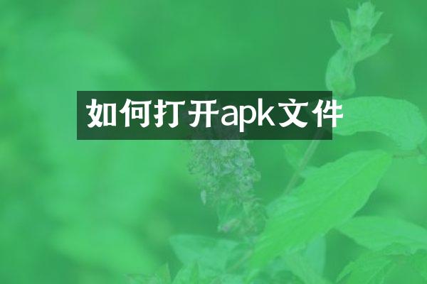 如何打开apk文件