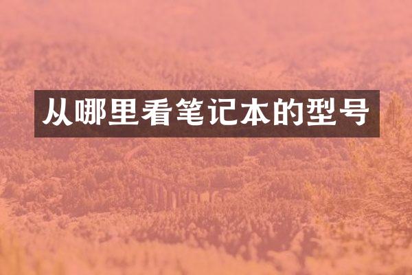 从哪里看笔记本的型号