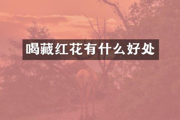 喝藏红花有什么好处