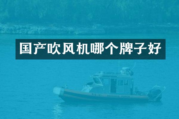 国产吹风机哪个牌子好