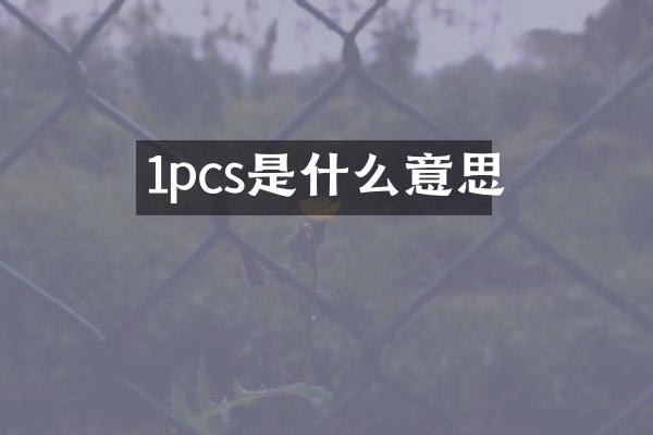 1pcs是什么意思