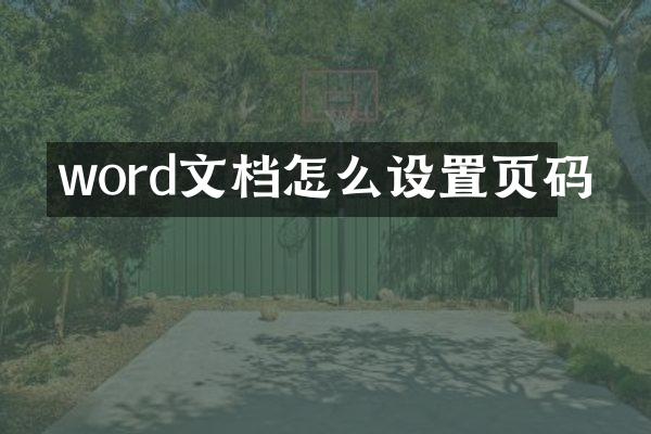 word文档怎么设置页码