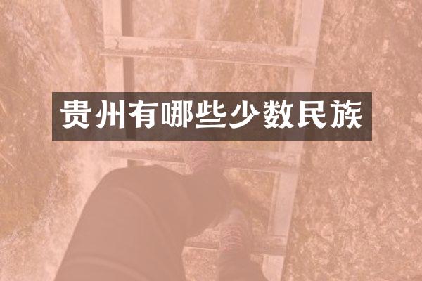 贵州有哪些少数民族