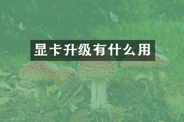 显卡升级有什么用