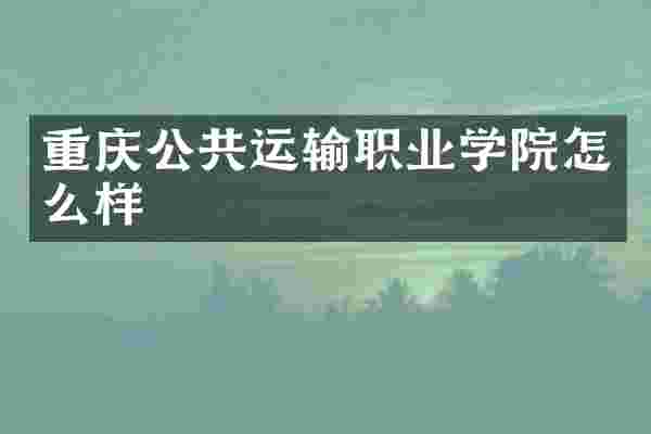 重庆公共运输职业学院怎么样