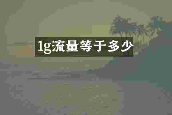 1g流量等于多少