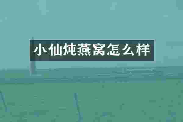 小仙炖燕窝怎么样