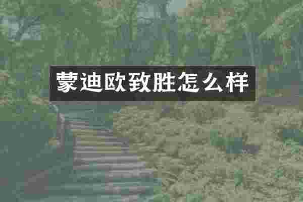 蒙迪欧致胜怎么样