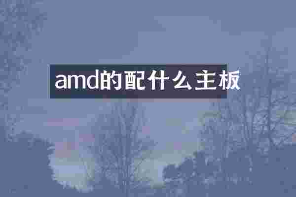 amd的配什么主板