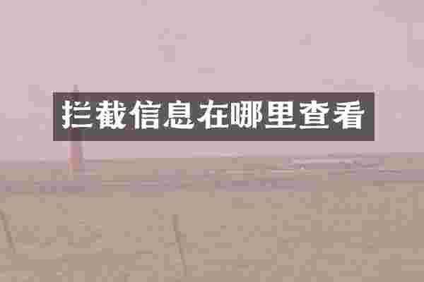 拦截信息在哪里查看