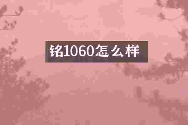 铭瑄1060怎么样
