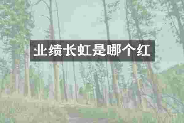 业绩长虹是哪个红