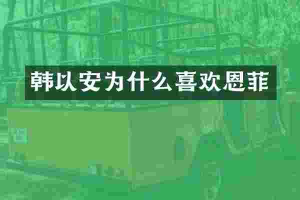 韩以安为什么喜欢恩菲