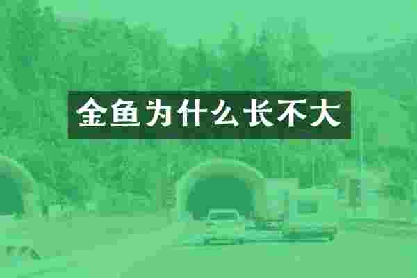 金鱼为什么长不大