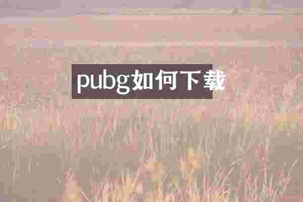 pubg如何下载